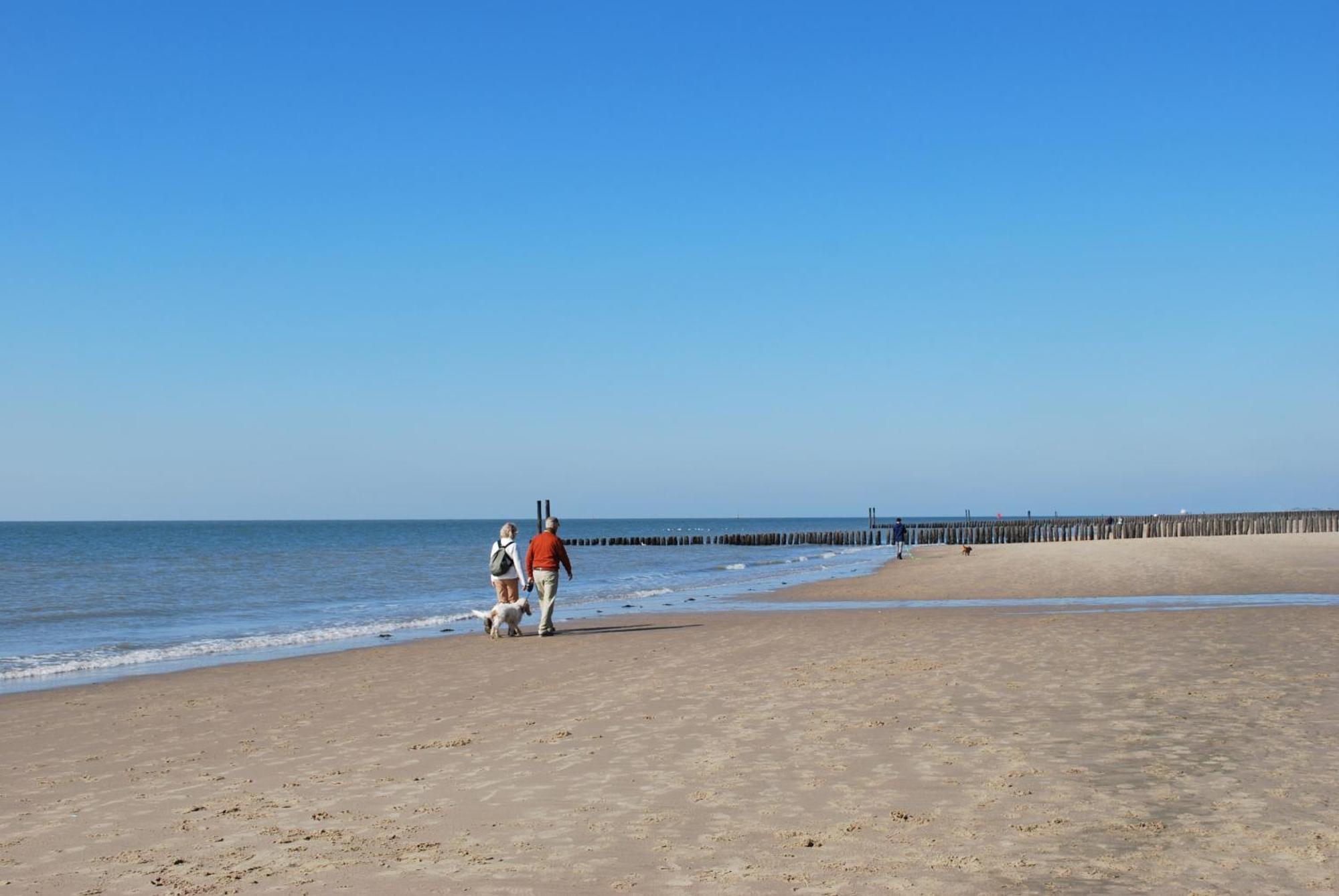 Vakantiehuis Mooie Entree Zwembad In De Zomer Vp010 Heinkenszand