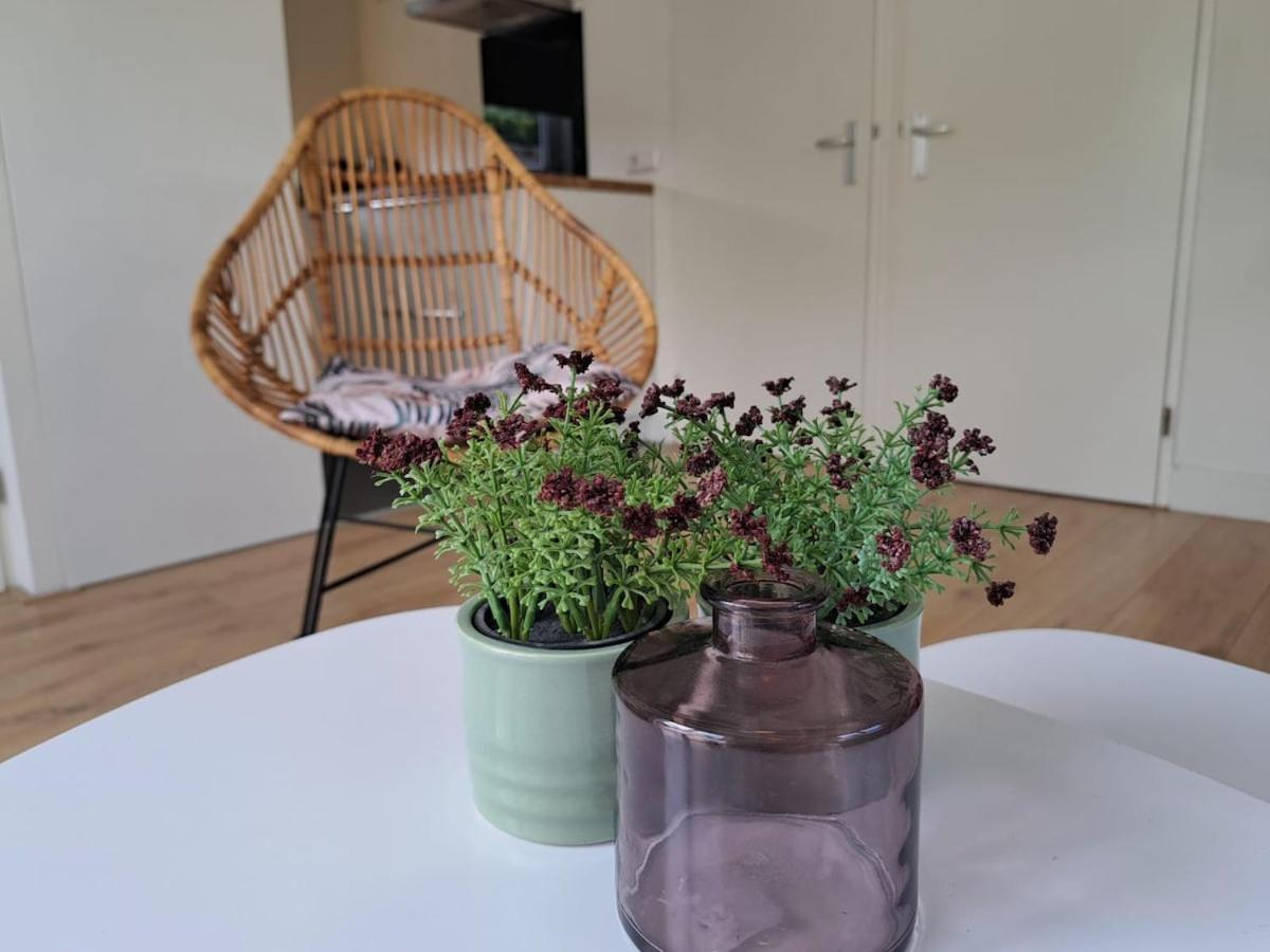 Mooie Entree Zwembad In De Zomer Vp010 Vakantiehuis Heinkenszand