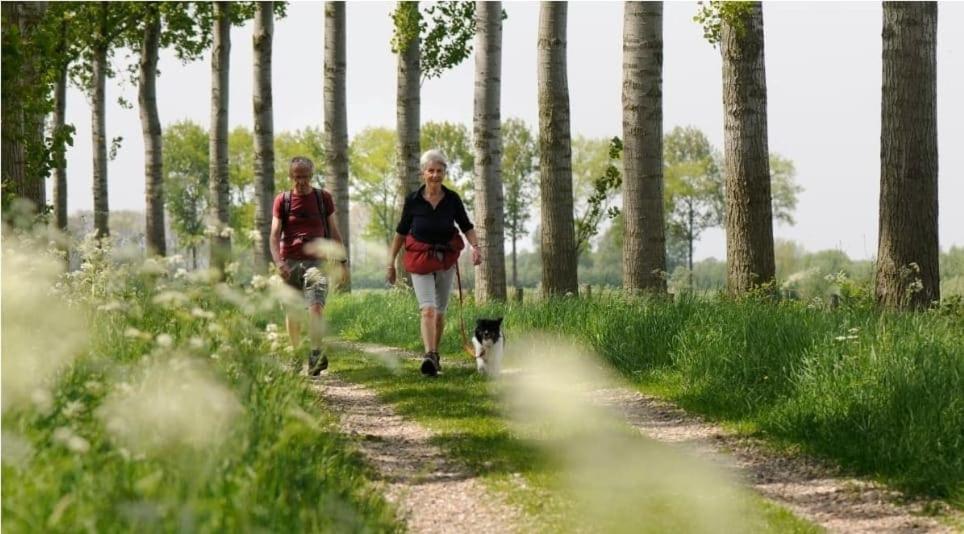 Vakantiehuis Mooie Entree Zwembad In De Zomer Vp010 *
